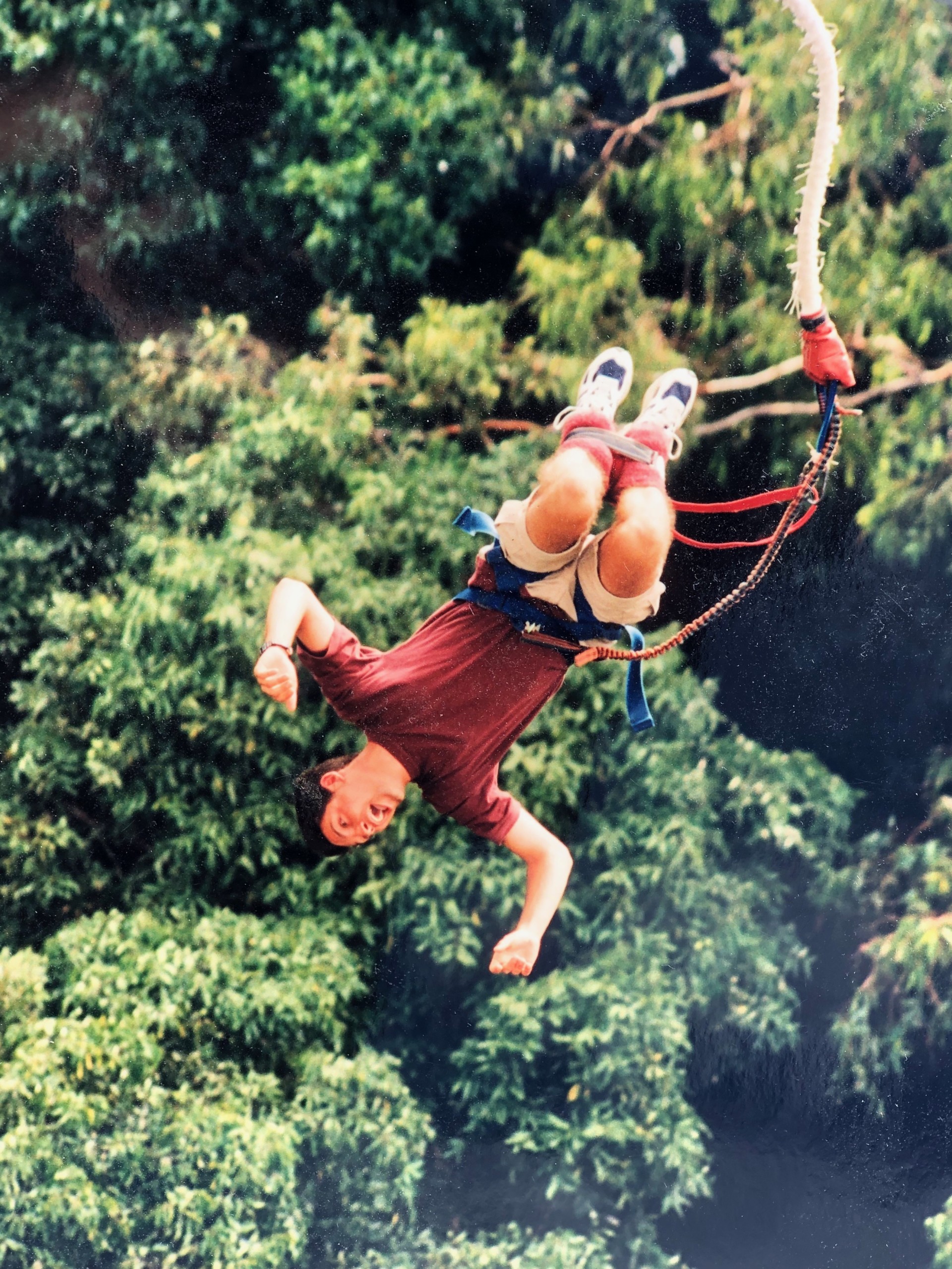 Louie bungee jumping upside-down